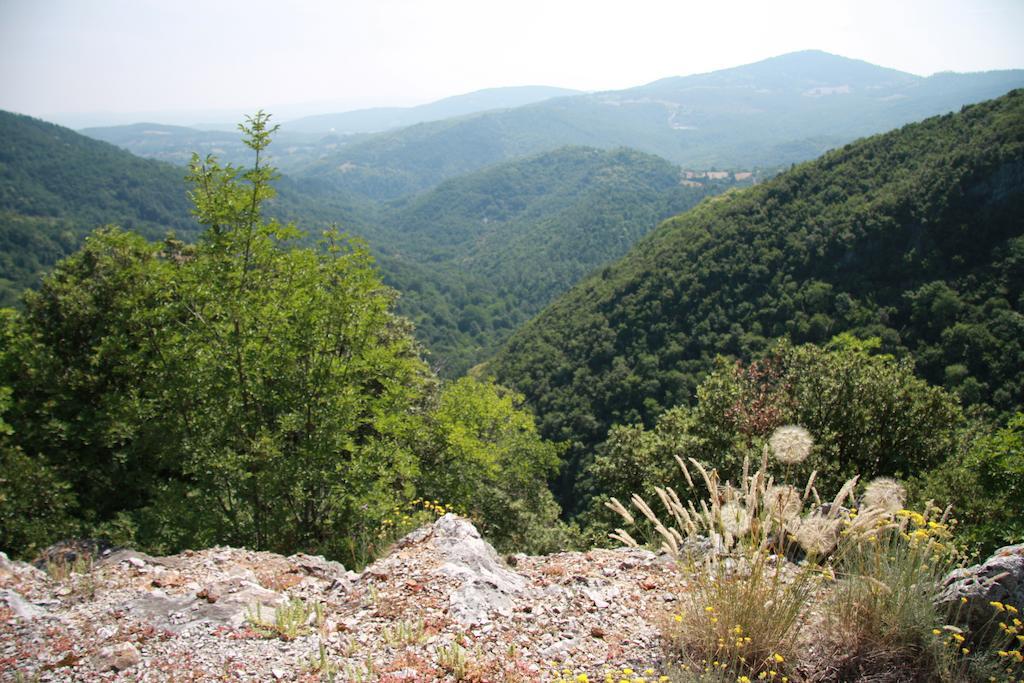 Borgo Fango Appartement Montieri Buitenkant foto