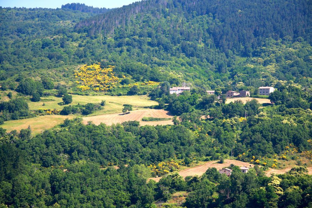 Borgo Fango Appartement Montieri Buitenkant foto